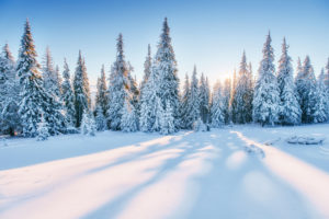 Actualité de la paie hiver 2021 2022