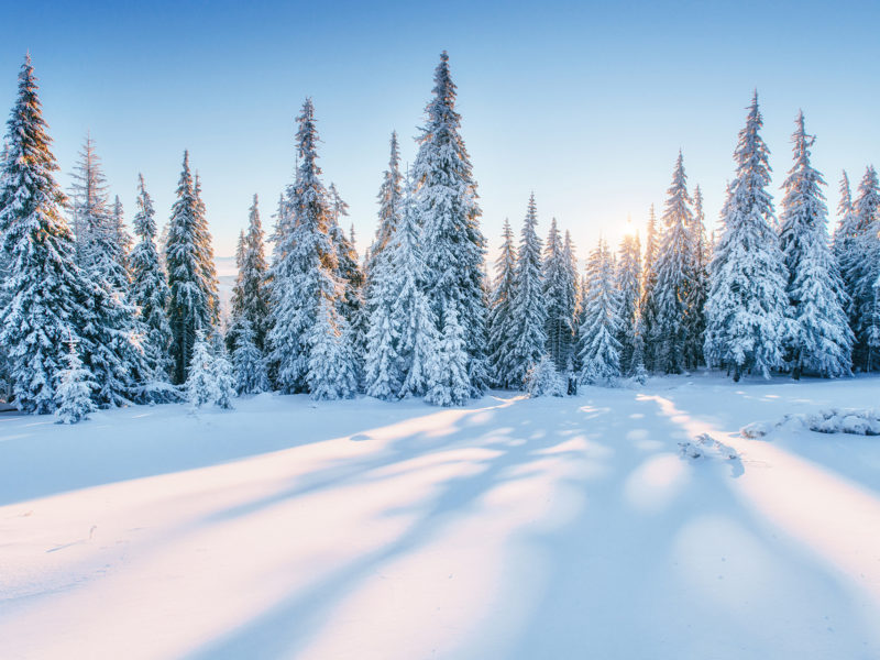 Actualité de la paie hiver 2021 2022