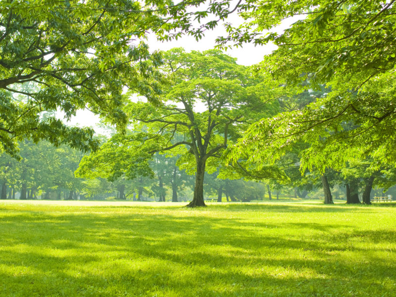 Actualité de la paie au printemps 2022