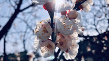 page outils et services  – Newsletter Avril 2026